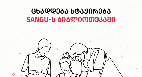 An Internship at SANGU Library