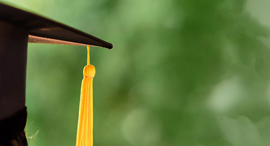 The Teacher Training Program is Accredited