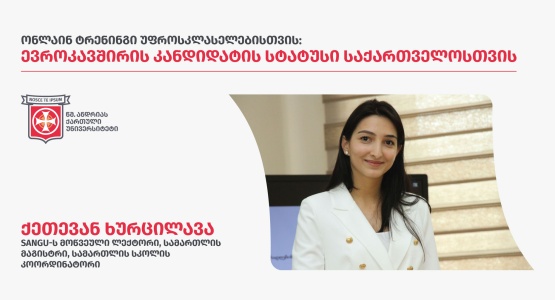 ონლაინ ტრენინგი თემაზე: „ევროკავშირის კანდიდატის სტატუსი საქართველოსთვის“