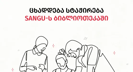 An Internship at SANGU Library