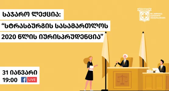Jurisprudence of Strasbourg Court 2020