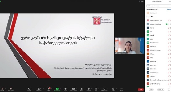 ონლაინ ტრენინგი თემაზე: „ევროკავშირის კანდიდატის სტატუსი საქართველოსთვის“