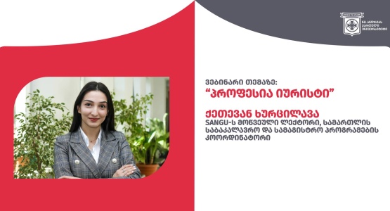 Webinar on "Profession - Lawyer"
