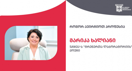 Online Meeting: How to Choose Profession