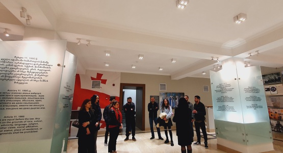 Students in Georgian Parliament