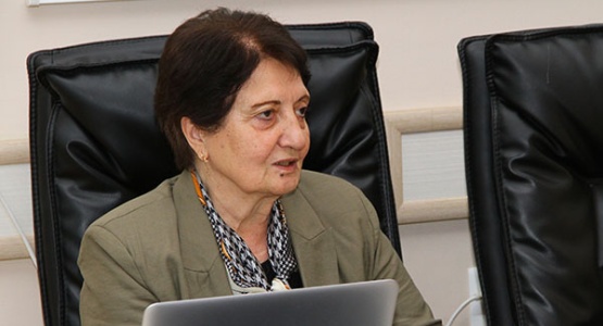 სემინარი: საერთაშორისო მონაცემთა ბაზების ეფექტიანი გამოყენება