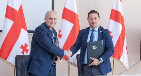 შეხვედრა საქართველოს სტატისტიკის ეროვნული სამსახურის წარმომადგენლებთან