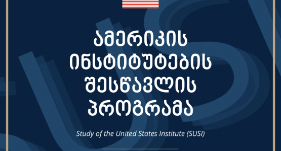 Study Program of American Institutes